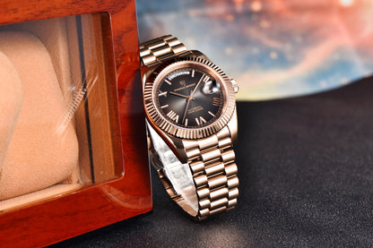 PAGANI DESIGN DD36 Luxury Automatic Watch For Men AR Sapphire Glass Stainless steel Mechanical  Wristwatch EU Warehouse delivery