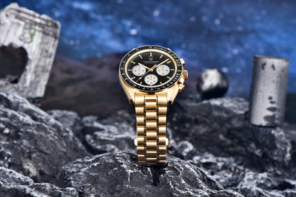 PAGANI DESIGN 2026 New Mens Watches Panda Moon Watch Luxury Quartz Watch For Men Automatic Date Sport Chronograph Wristwatch Men