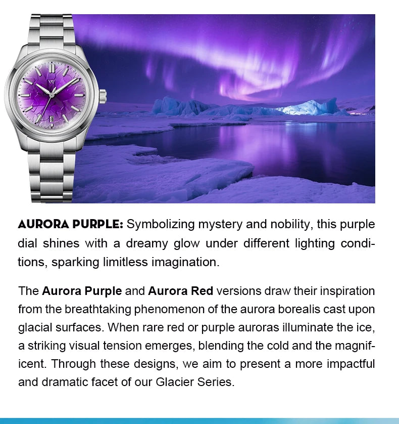 WM Watch Automatic Mechanical Men Watches NH35 Sapphire Glacier Collection 100M Water Resistant Man Welly Merck Watch WM226