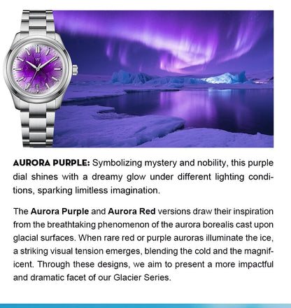 WM Watch Automatic Mechanical Men Watches NH35 Sapphire Glacier Collection 100M Water Resistant Man Welly Merck Watch WM226