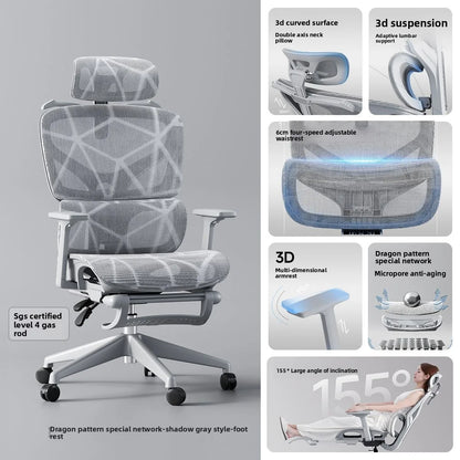 Adjustable Ergonomic Mesh Office Chair, Breathable High Back Computer Desk Chair with 6D Lumbar Support & Retractable Footrest