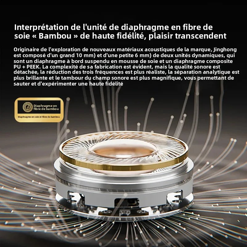 Zhulinniao JingHong Z3 2025 High-Fidelity In-Ear HiFi Earphones Dual Dynamic Drivers Metal Music Monitor Customizable Audio