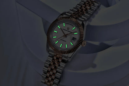 2026 New PAGANI DESIGN Enamel Dial DD36 Luxury Silver Gold Automatic Watch For Men AR Sapphire Crystal Mechanical Wristwatch Men